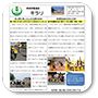 第9号